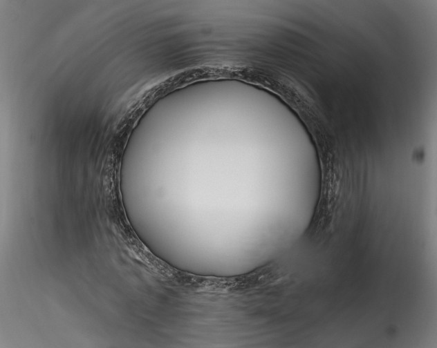 X0000115520773200911271322