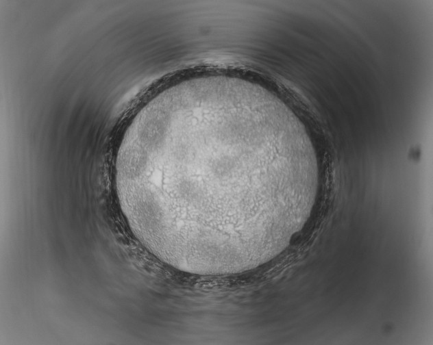 X0000115520776200911271322