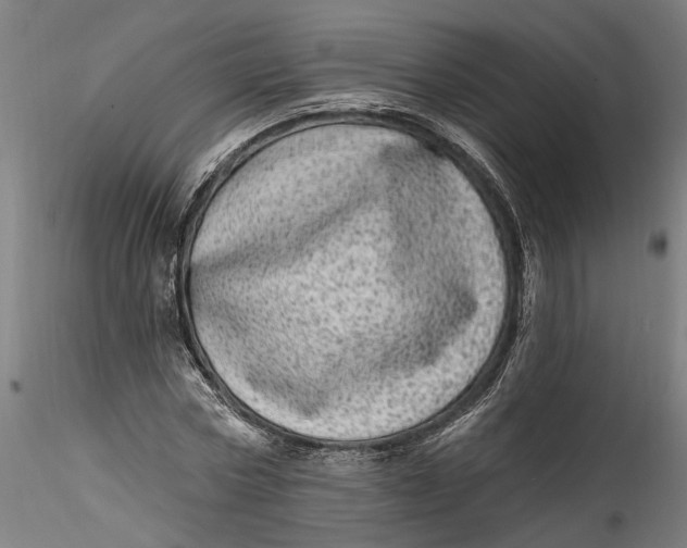 X0000115520778200911271322