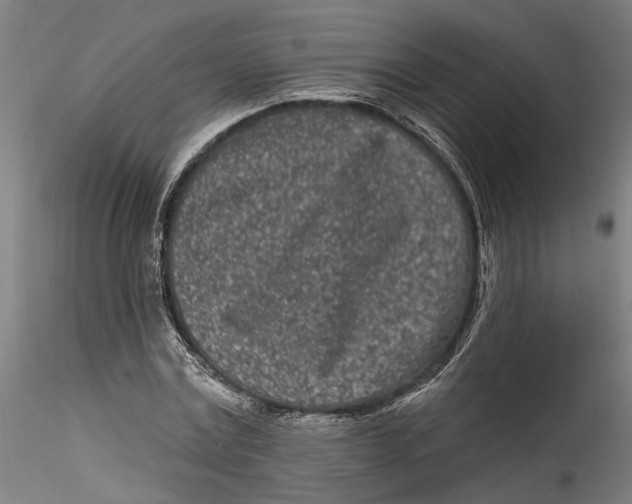 X0000115520779200911271322