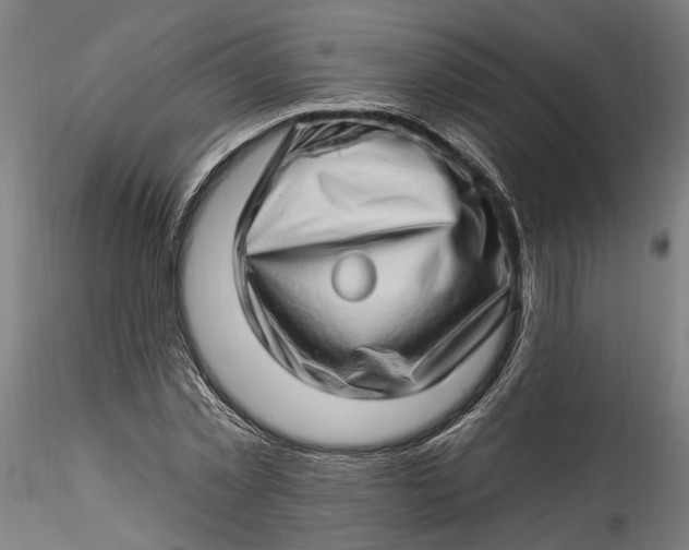 X0000115520781200911271322