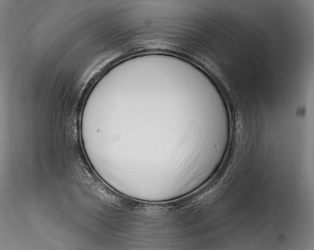 X0000115520782200911271322