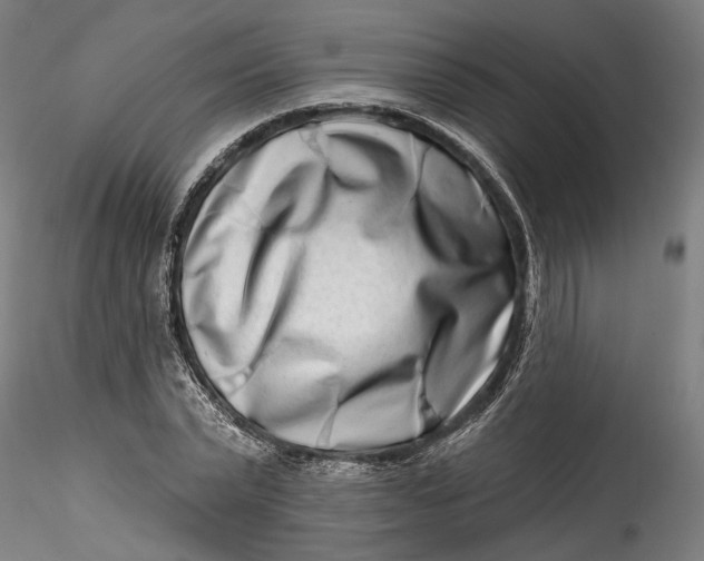 X0000115520783200911271322