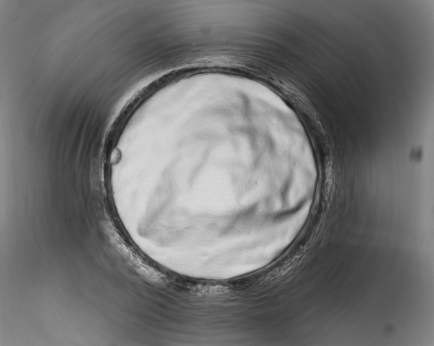 X0000115520784200911271322