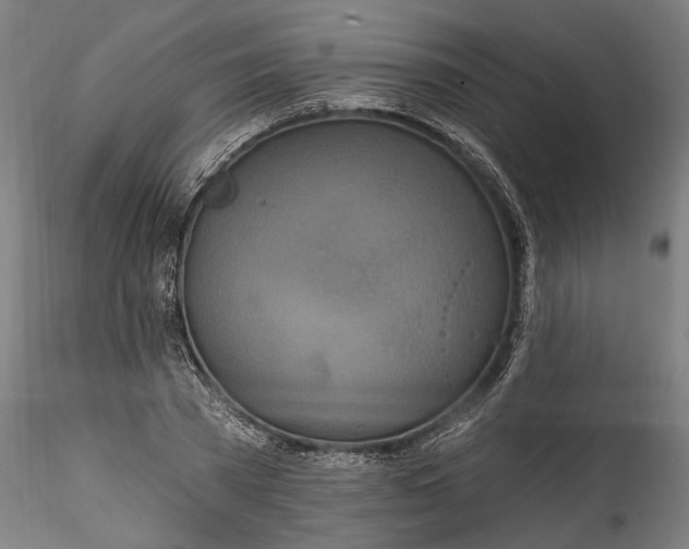 X0000115520785200911271322