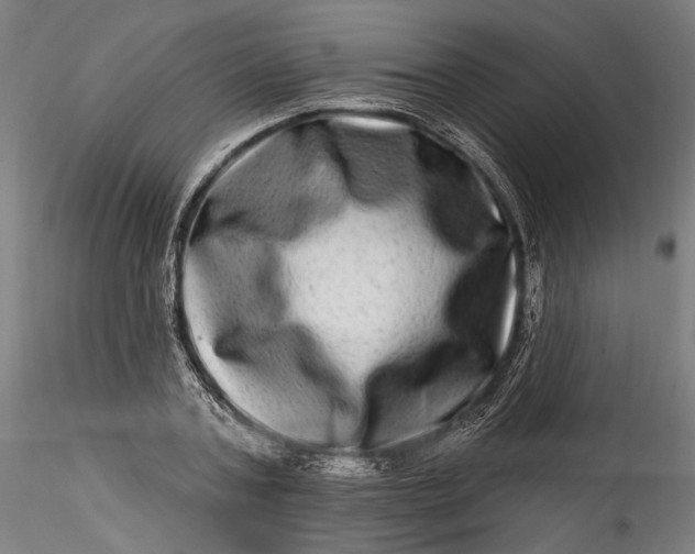 X0000115520787200911271322