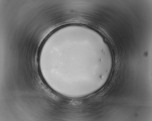 X0000115520788200911271322