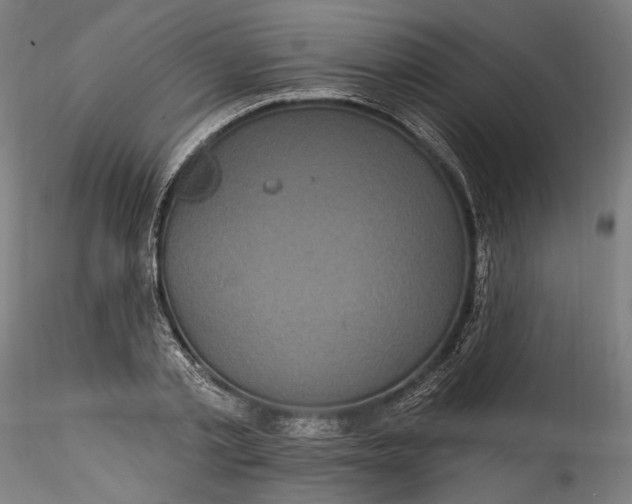 X0000115520789200911271322