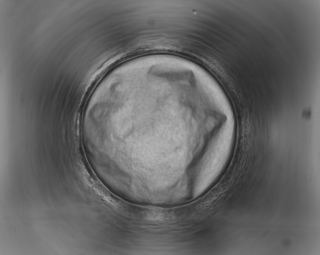 X0000115520790200911271322