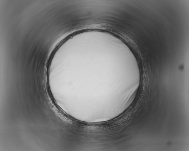 X0000115520792200911271322