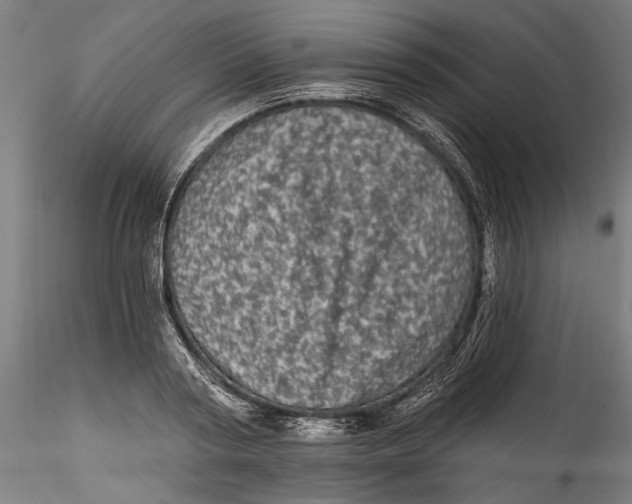 X0000115520794200911271322