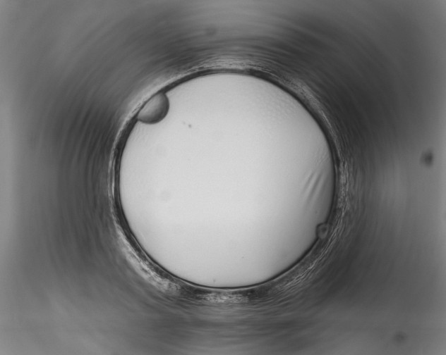 X0000115520795200911271322