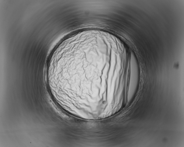 X0000115520796200911271322