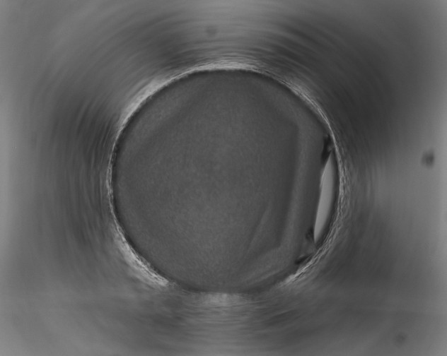 X0000115520797200911271322