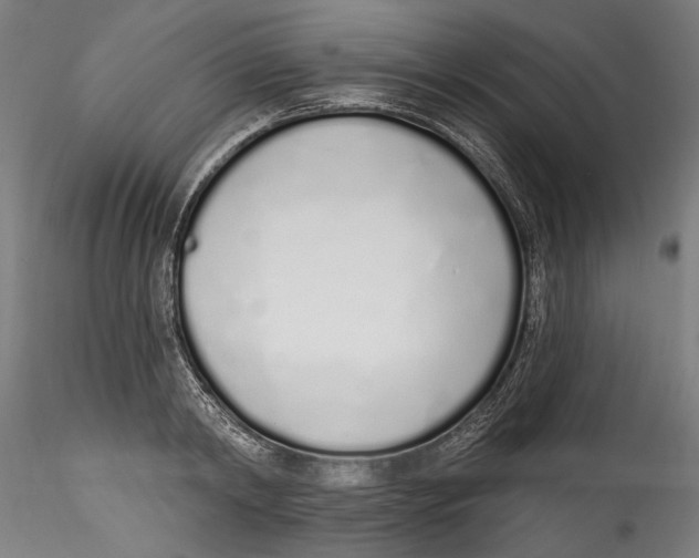 X0000115520798200911271321