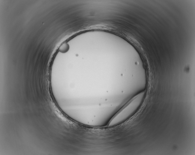 X0000115520800200911271321