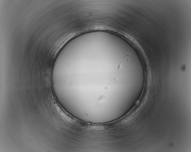 X0000115520801200911271321