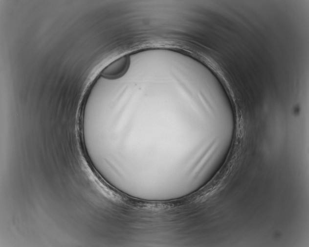 X0000115520803200911271321