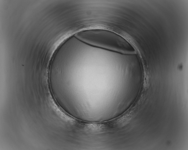 X0000115520805200911271321