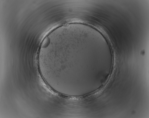 X0000115520806200911271321