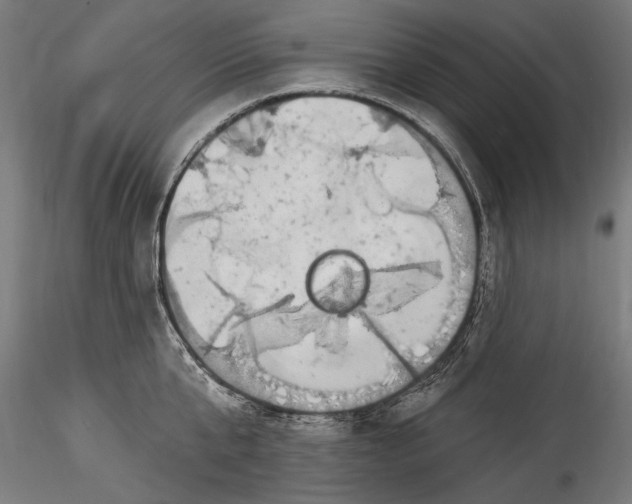 X0000115520807200911271321