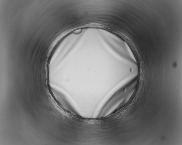 X0000115520808200911271321