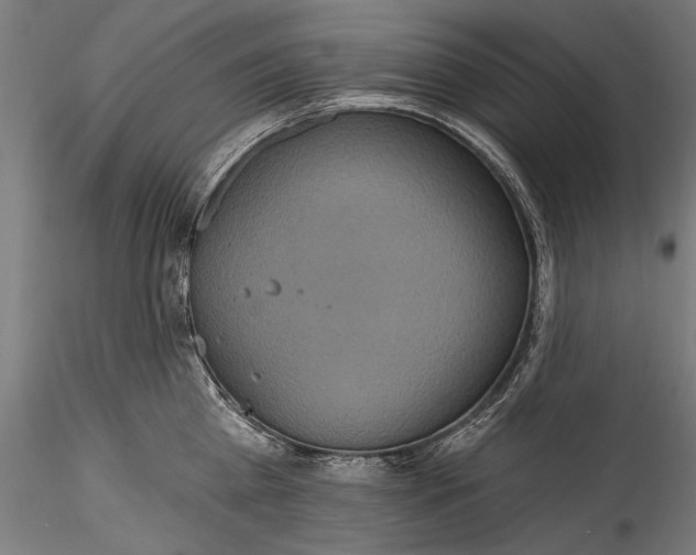 X0000115520809200911271321