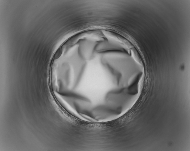 X0000115520811200911271321