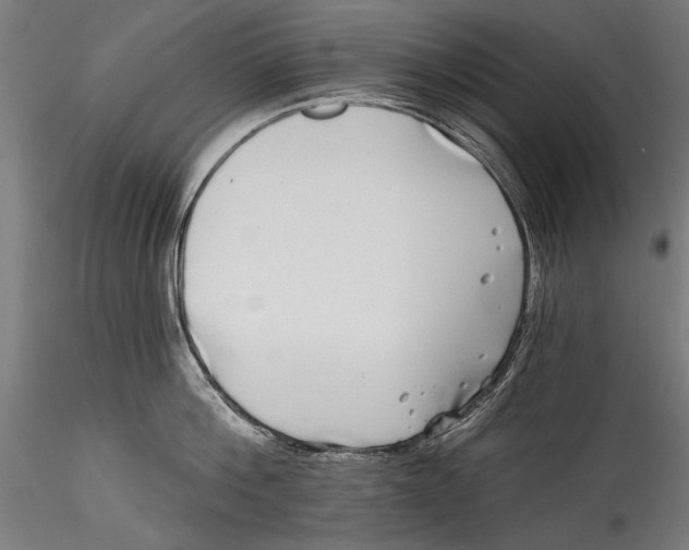 X0000115520812200911271321