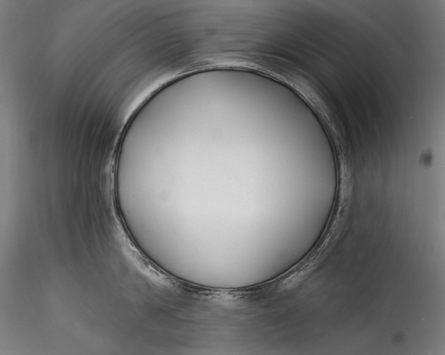 X0000115520814200911271321