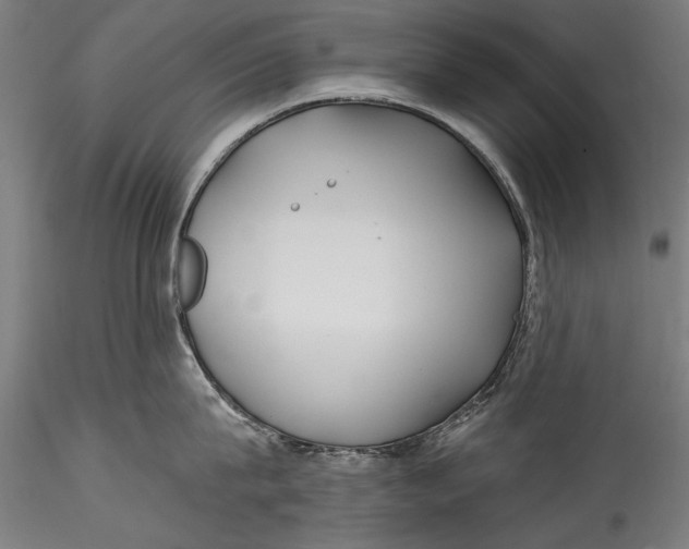 X0000115520815200911271321