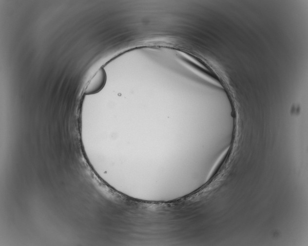 X0000115520816200911271321