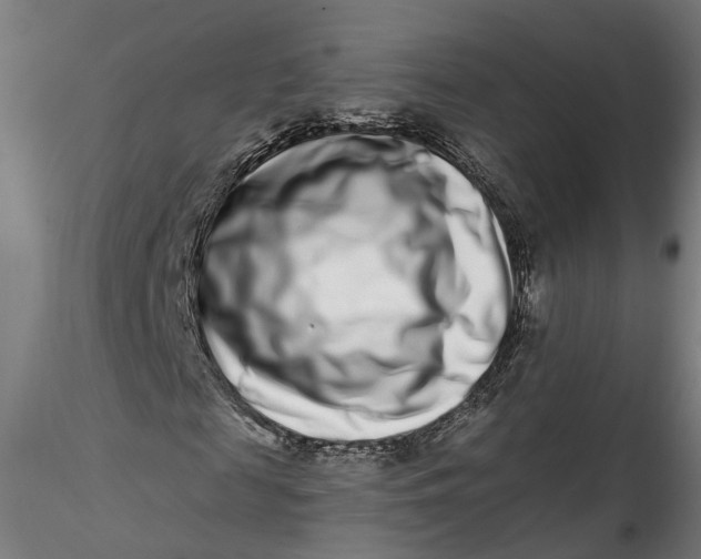 X0000115520817200911271321