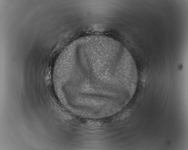 X0000115520818200911271321