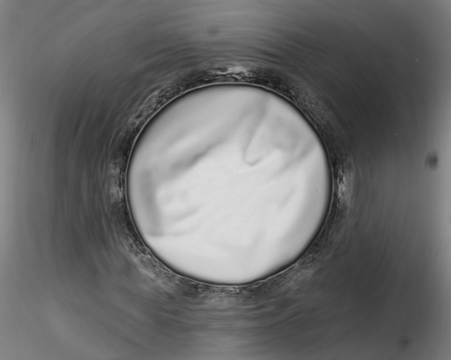 X0000115520819200911271321