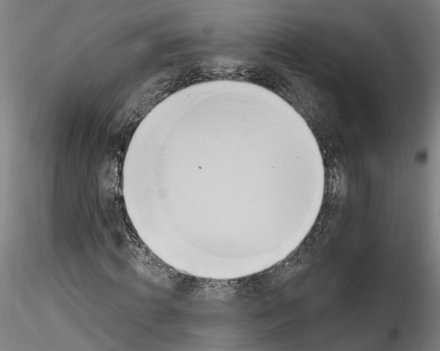 X0000115520820200911271321