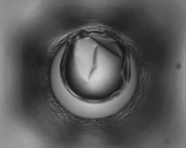 X0000115520822200911271321