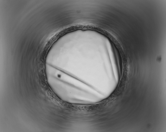 X0000115520823200911271321