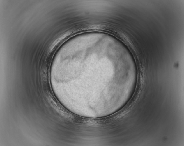 X0000115520827200911271321