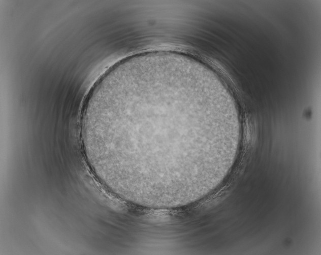 X0000115520828200911271321