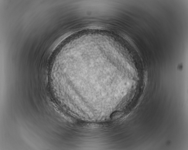 X0000115520829200911271321