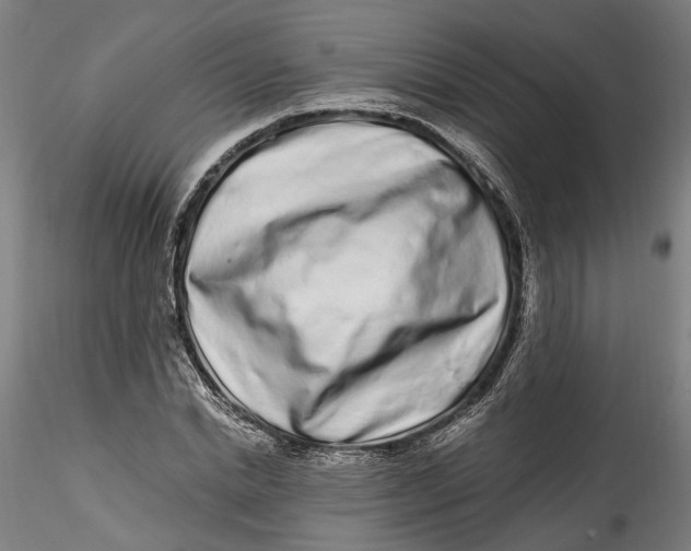 X0000115520830200911271321