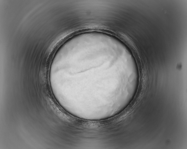 X0000115520831200911271321