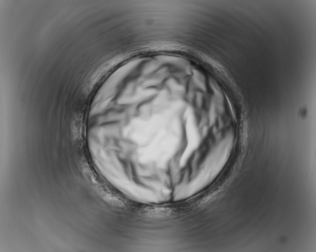 X0000115520833200911271321