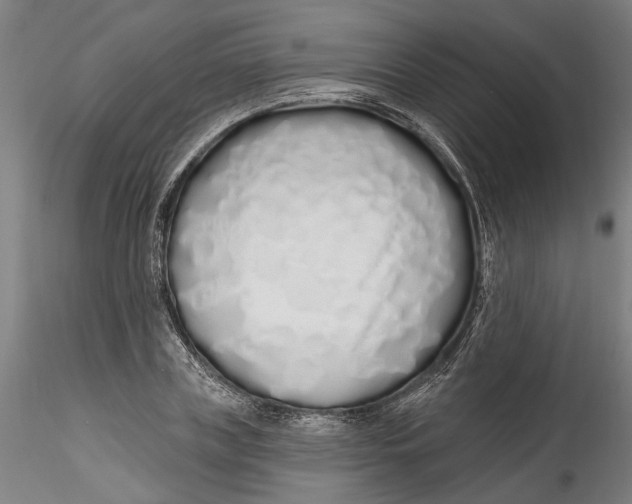 X0000115520835200911271321