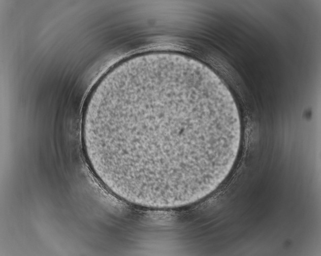 X0000115520836200911271321