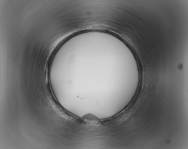 X0000115520838200911271321