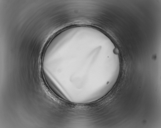 X0000115520840200911271321