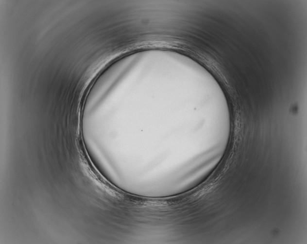 X0000115520844200911271321