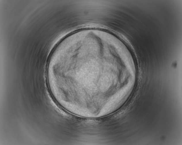 X0000115520847200911271321